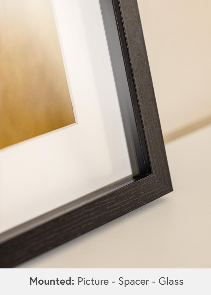 BGA Marco caja Vidrio acrílico Negro 50x100 cm