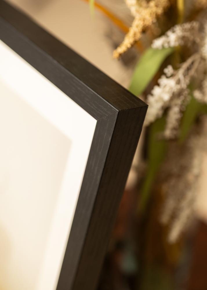 BGA Marco caja Vidrio acrílico Negro 50x100 cm