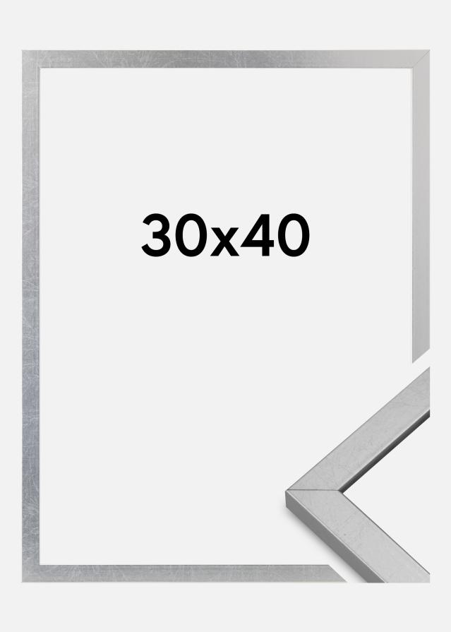 Marco Minerva Vidrio acrílico Plateado 30x40 cm