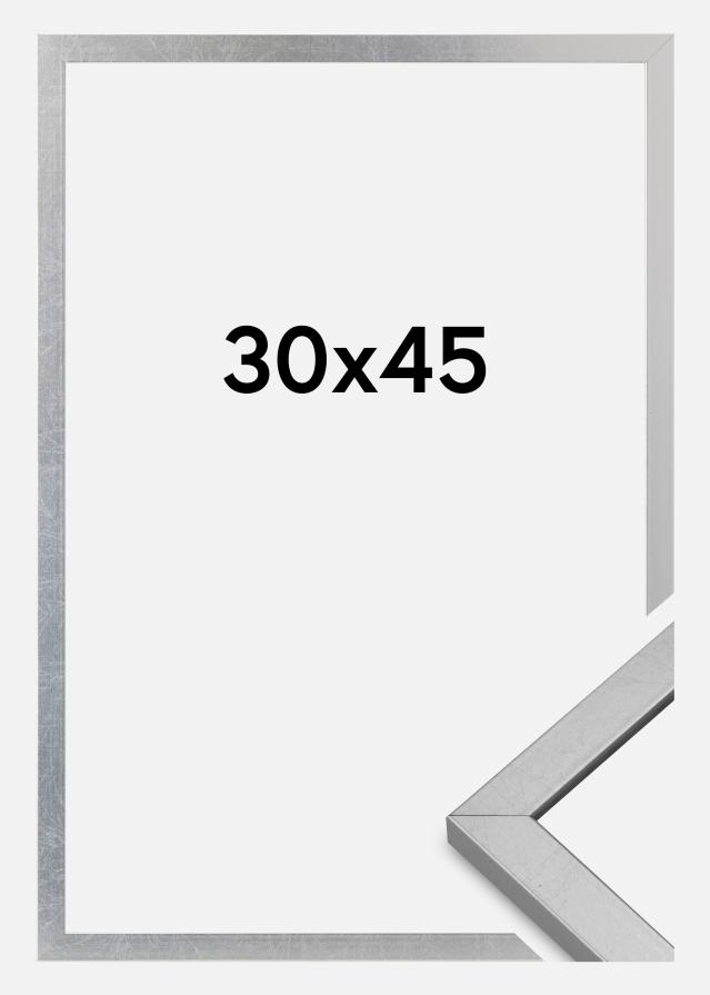 Marco Minerva Vidrio acrílico Plateado 30x45 cm