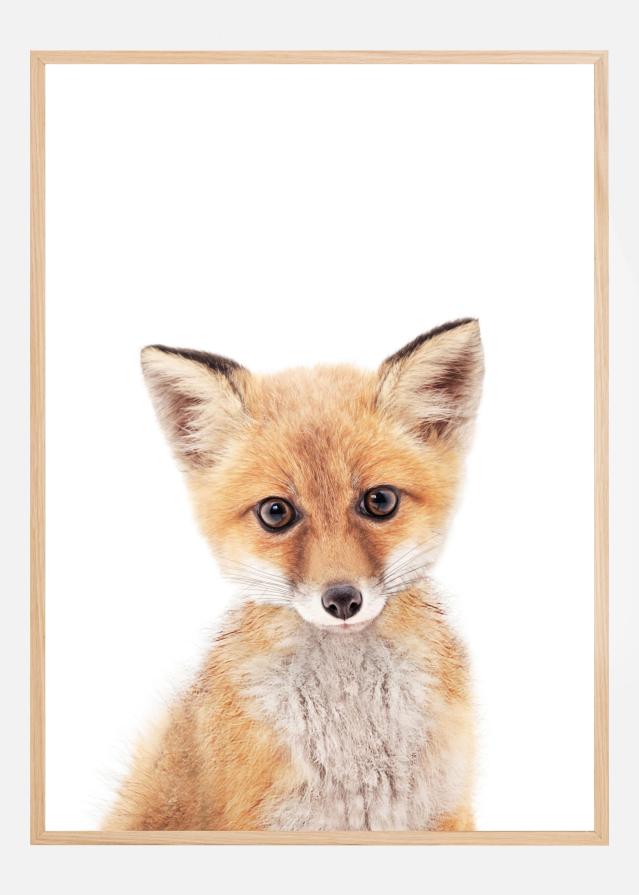 Baby Fox Póster