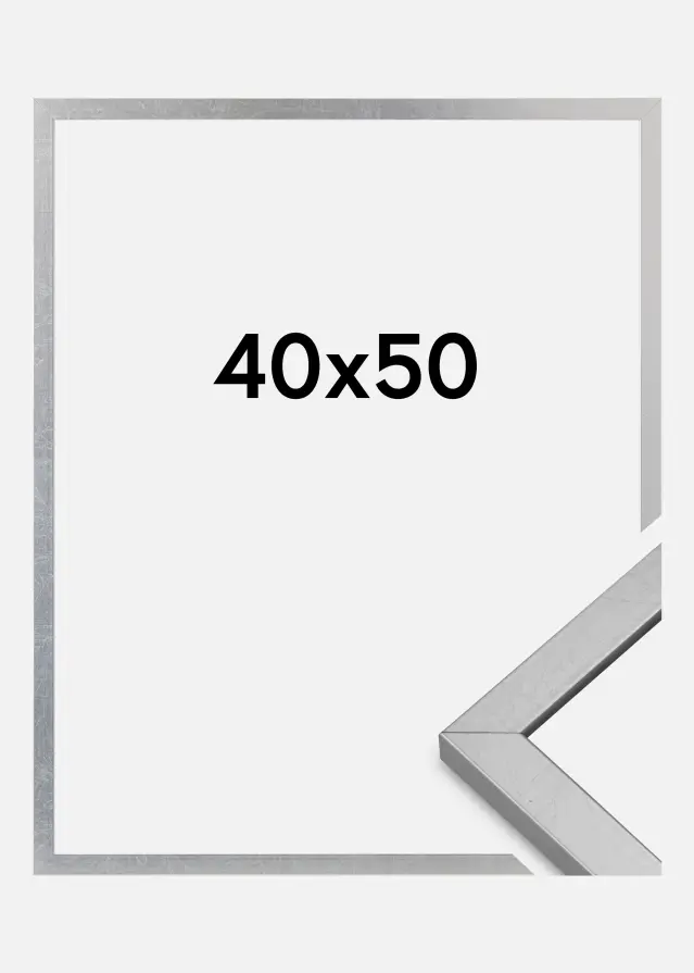 Marco Minerva Vidrio acrílico Plateado 40x50 cm