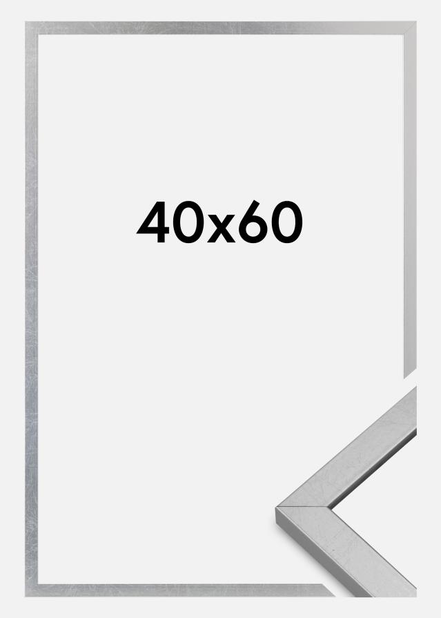 Marco Minerva Vidrio acrílico Plateado 40x60 cm