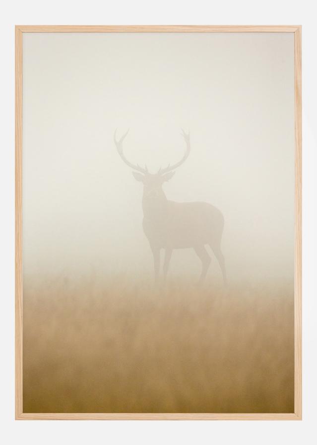 Ghost Stag Póster