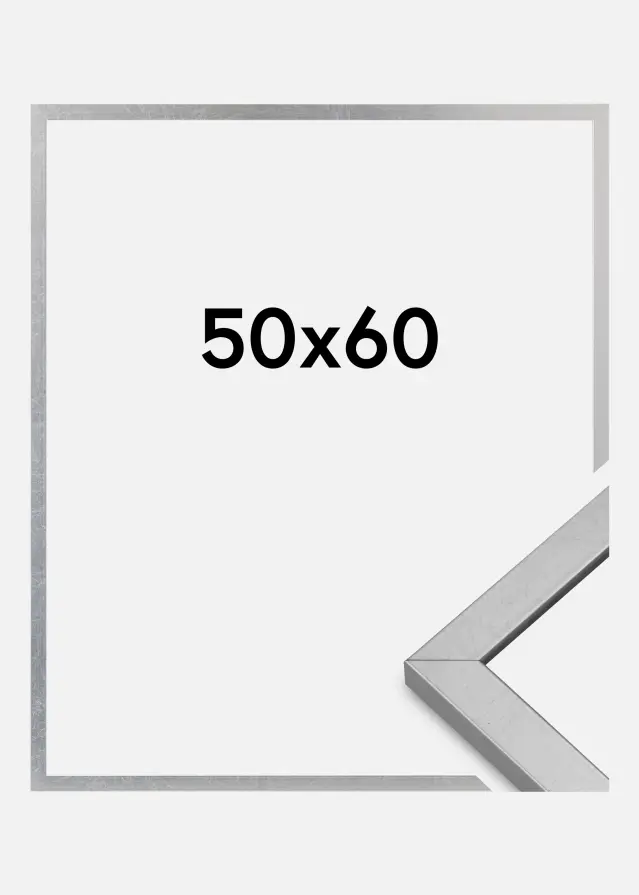 Marco Minerva Vidrio acrílico Plateado 50x60 cm