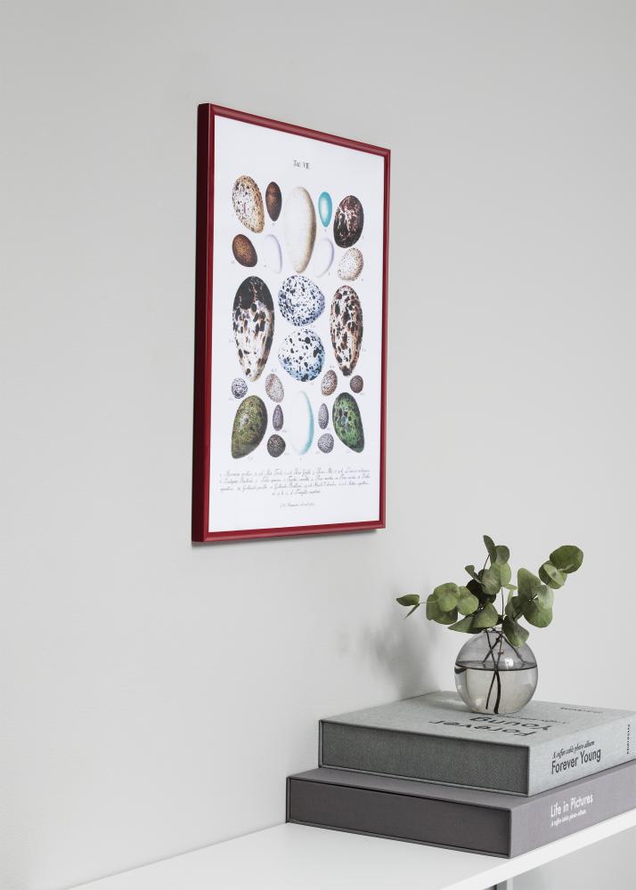 Marco New Lifestyle Rojo 42x59,4 cm (A2) - Paspartú Negro 25x38 cm