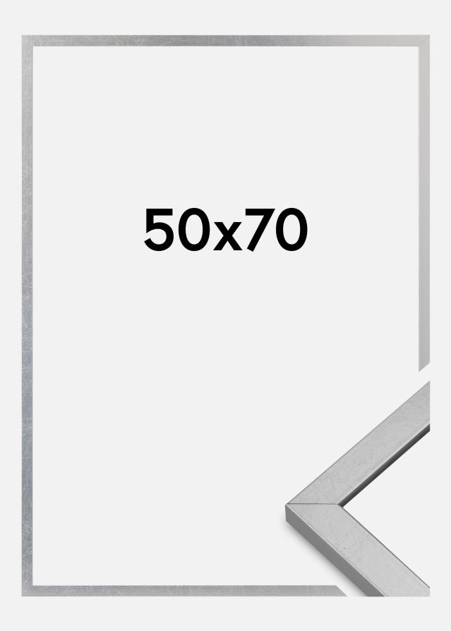 Marco Minerva Vidrio acrílico Plateado 50x70 cm