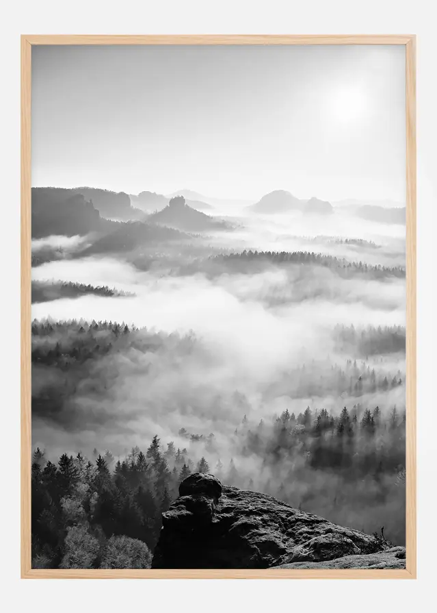Foggy Forest Black y White I - 50x70 cm Póster