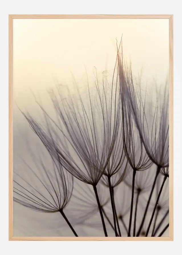 Dandelion children Póster