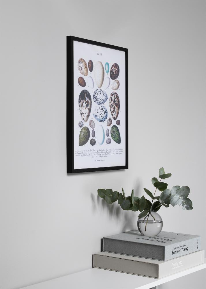 Marco Oslo Negro 30x40 cm - Paspartú Negro 18x27 cm