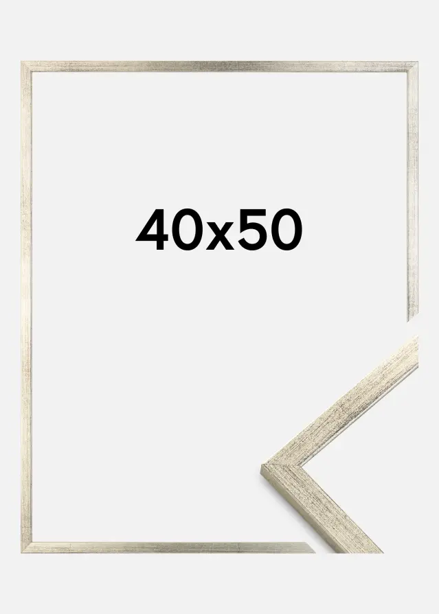 Marco Galant Vidrio acrílico Plateado 40x50 cm