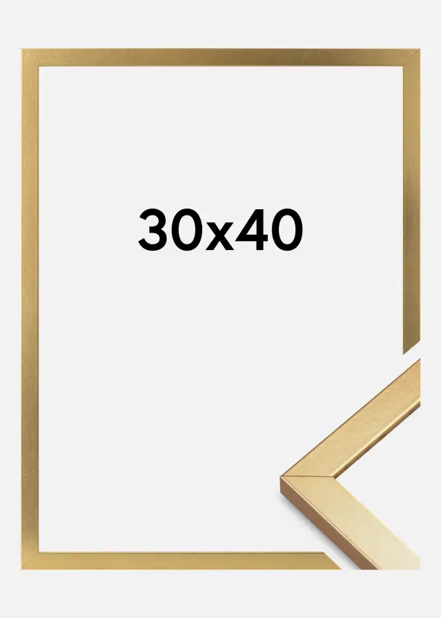 Marco Minerva Vidrio acrílico Dorado 30x40 cm