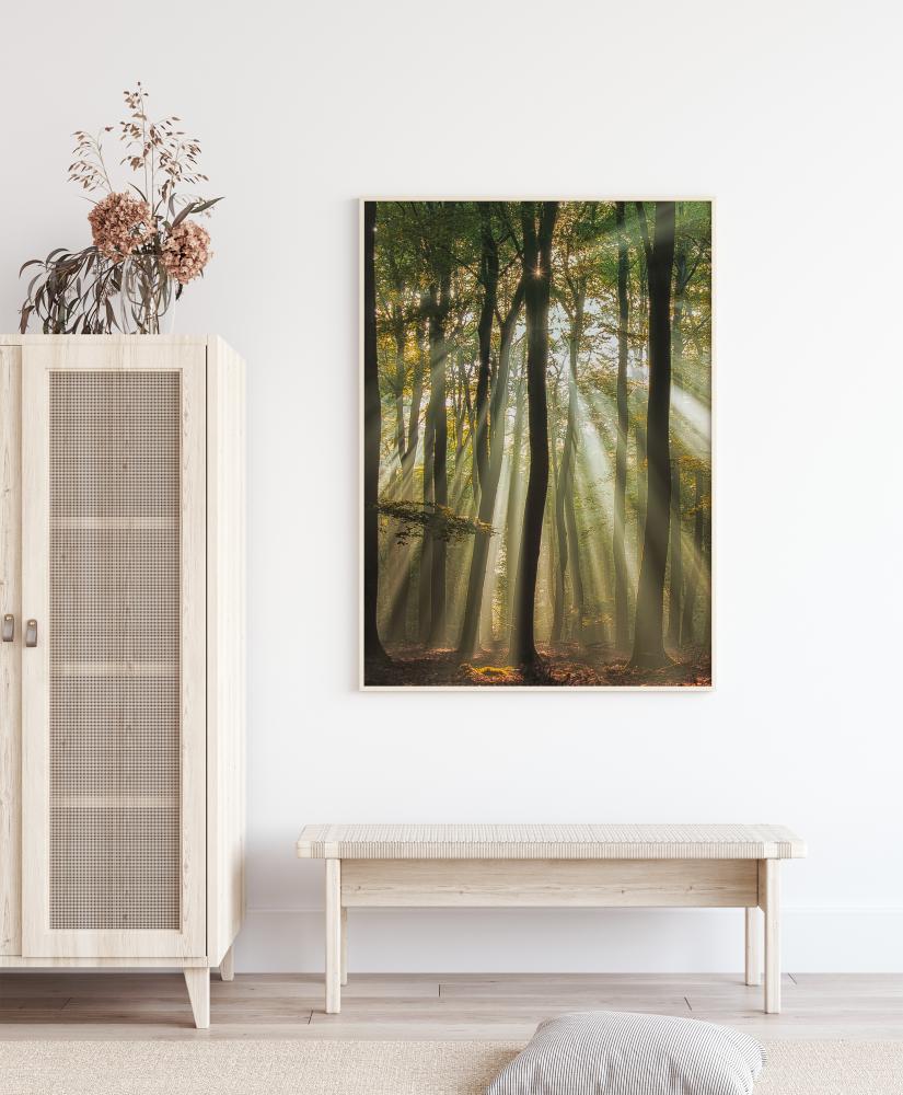 Sunny Start To The Day Póster