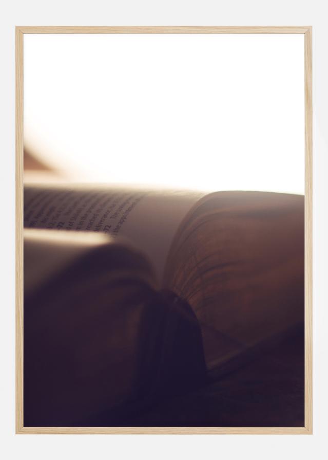 Book Of Light Póster