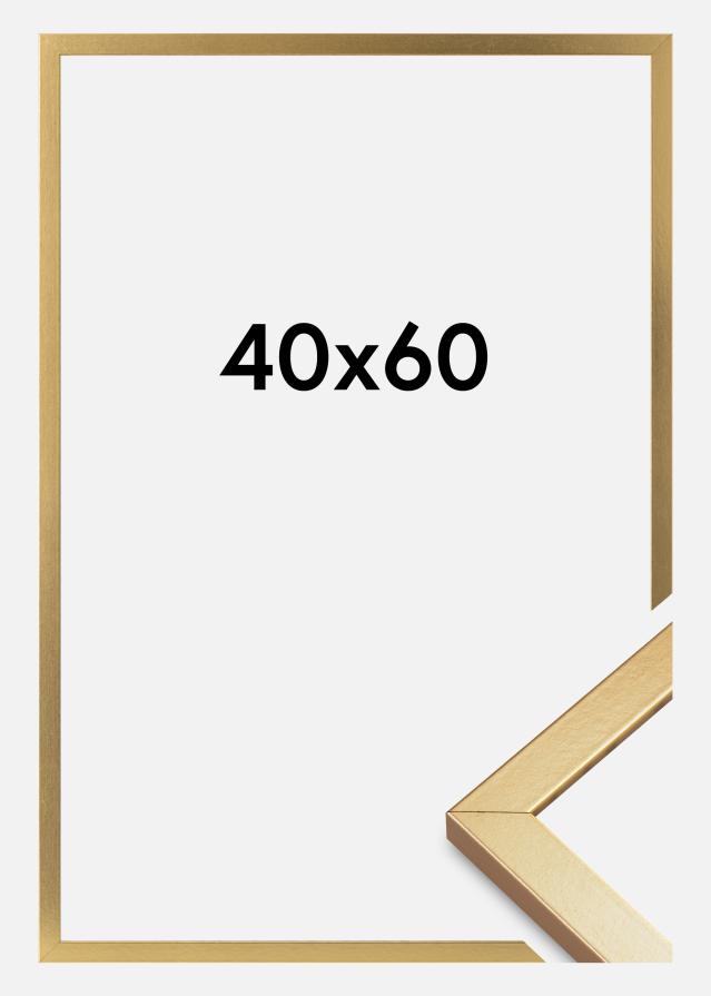 Marco Minerva Vidrio acrílico Dorado 40x60 cm