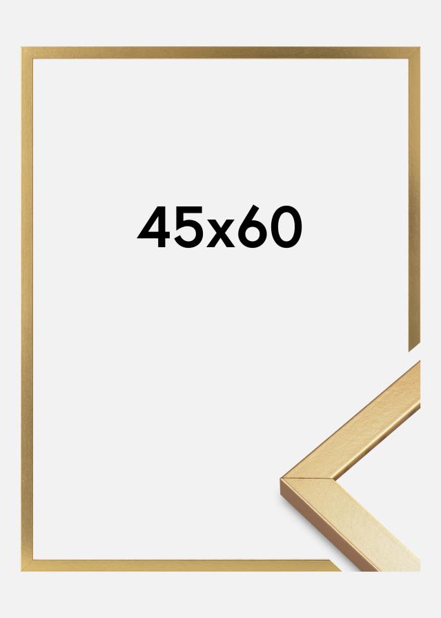 Marco Minerva Vidrio acrílico Dorado 45x60 cm