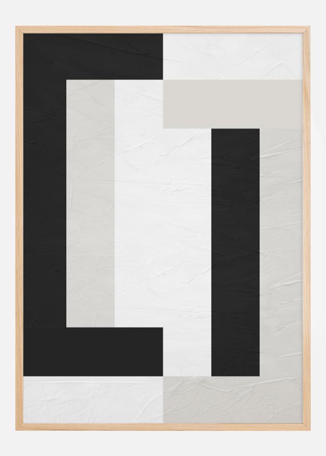 Black and White Line Art ll Póster