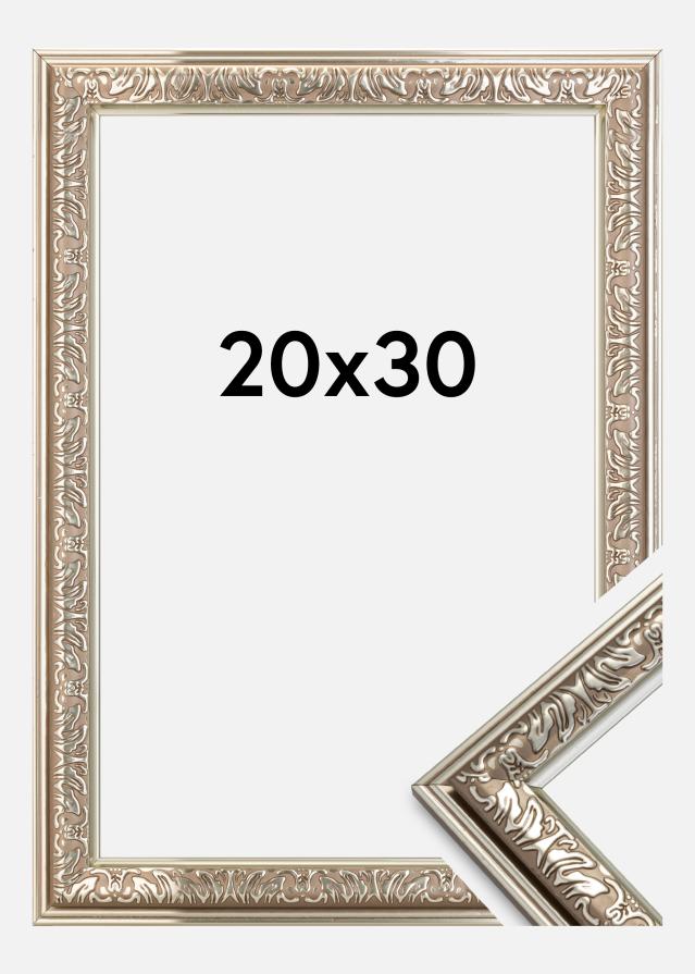 Marco Nostalgia Plateado 20x30 cm