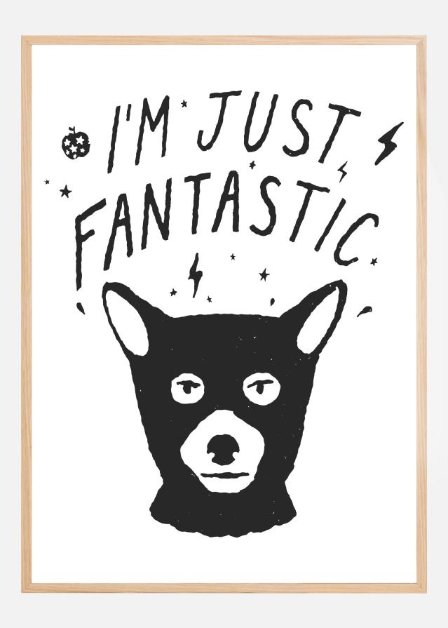 Im Just Fantastic Póster