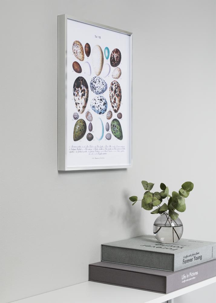 Marco Nielsen Premium Alpha Acabado brillante Plateado 84,1x118,9 cm (A0)