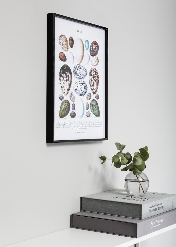 Marco Nielsen Premium Antirreflectante Acabado brillante Negro 50x70 cm