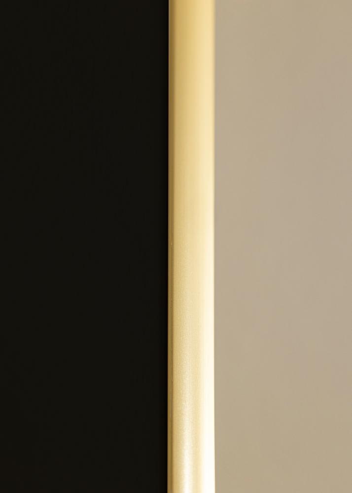 Marco New Lifestyle Dorado 70x100 cm - Paspartú Negro 24x36 inches