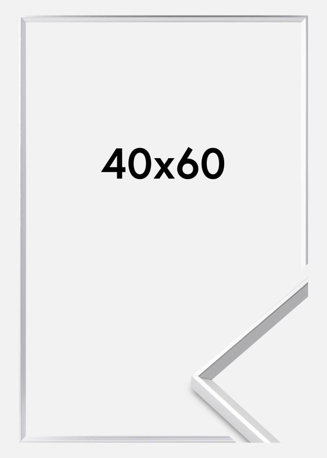 Marco Desire Vidrio acrílico Plateado 40x60 cm