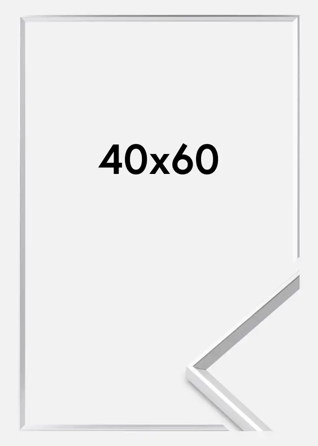 Marco Desire Vidrio acrílico Plateado 40x60 cm