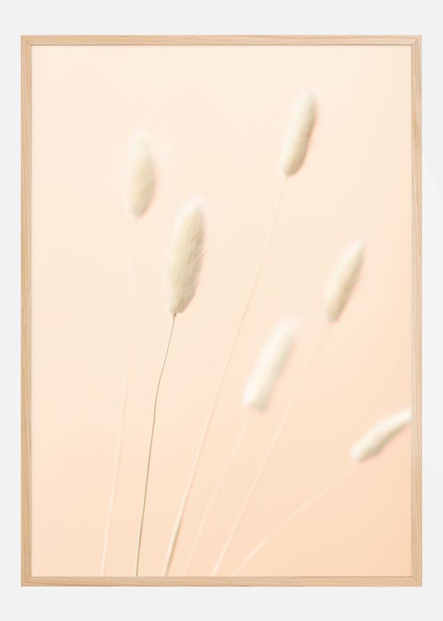 Bunny Grass II Póster